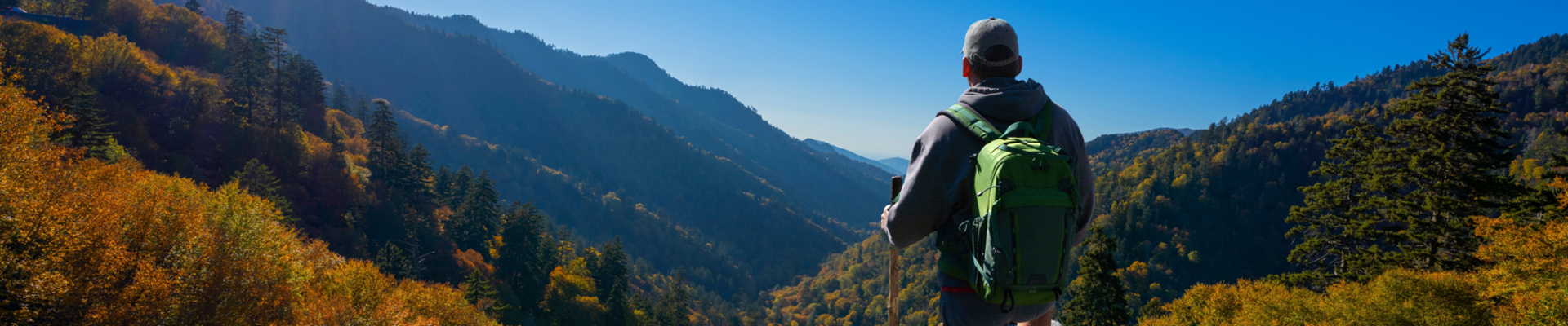 training - Topapparelcn